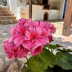 Appartement Monolocale Da Mariolina