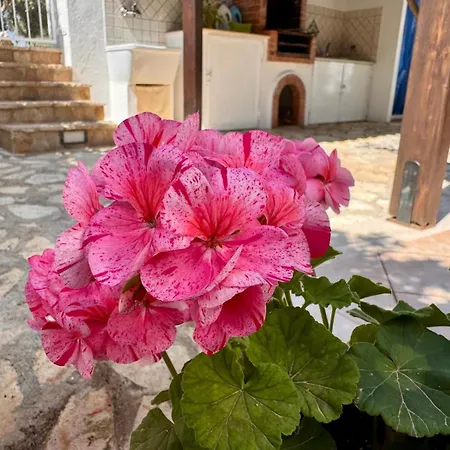 Appartement Monolocale Da Mariolina